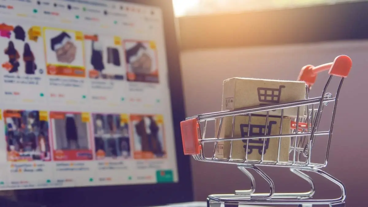 Ecommerce autónomos